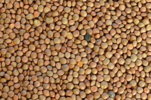 Granel X50K Lentejas Intermedias