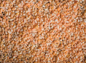 Granel X25K Maiz Pelado Colorado