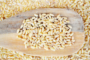 Granel X30K Trigo Candeal Pelado